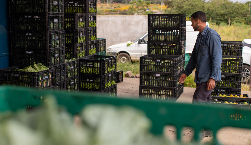 Neste ano, foi disponibilizado R$ 1 milhão para a compra de insumos cultivados pelos produtores rurais mogianos. (Warley Kenji/PMMC)