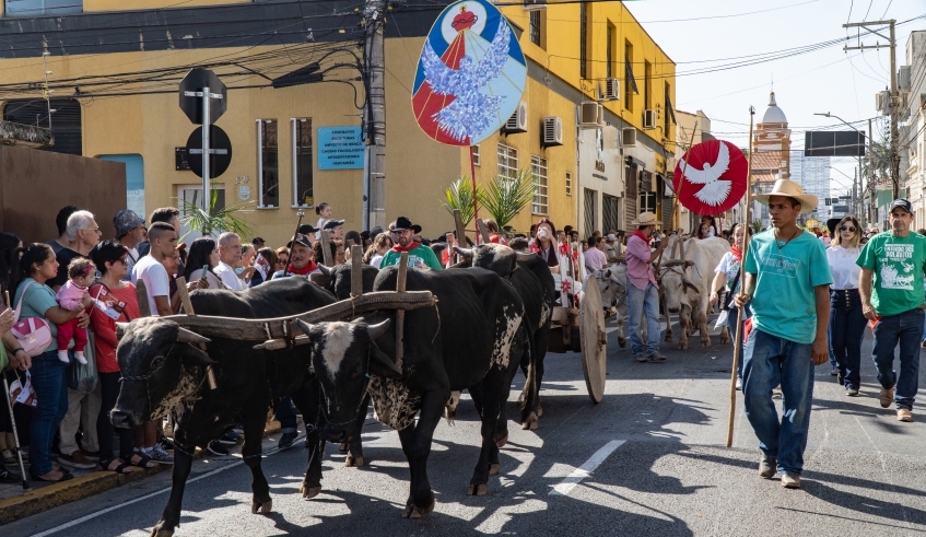 A Entrada do Palmitos é o ponto alto da programação folclórica da Festa do Divino Espírito Santo de Mogi das Cruzes e reuniu milhares de pessoas na região central (Divulgação/PMMC)