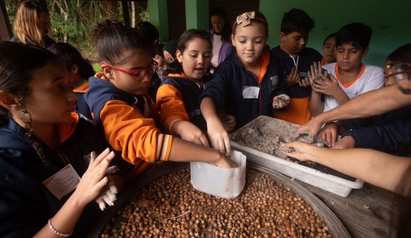 Estudantes aprendem sobre plantio de Palmito Juçara, no Parque Chiquinho Veríssimo (Warley Kenji/PMMC)