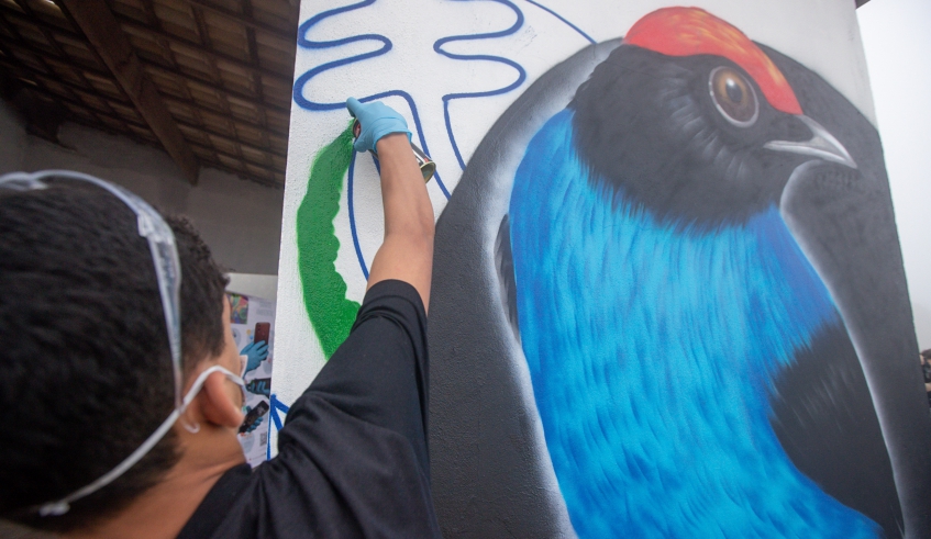 Tema do Grafite Ambiental é avifauna observada em Mogi das Cruzes; espécies são retratadas nos muros e paredes (Foto: Warley Kenji/PMMC)