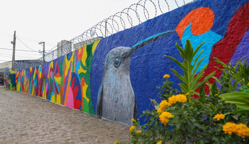Muro da Secretaria de Meio Ambiente e Proteção Animal, pintado com espécies da avifauna observada no município (Divulgação/PMMC)