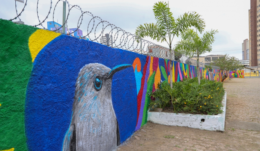 Muro da Secretaria de Meio Ambiente e Proteção Animal, pintado com espécies da avifauna observada no município (Divulgação/PMMC)