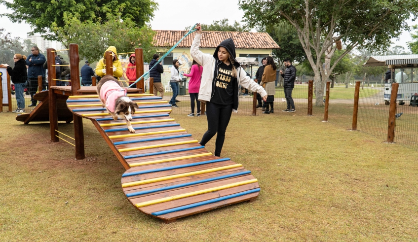 Atividades no Play Pet reduzem agressividade, aumentam socialização e diminuem ansiedade excessiva (Divulgação/PMMC)