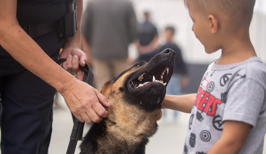 Canil da Guarda Civil Municipal foi construído em Cezar de Souza e tem toda a estrutura para abrigar os cães da corporação, além de espaço para treinamento (Warley Kenji/PMMC)