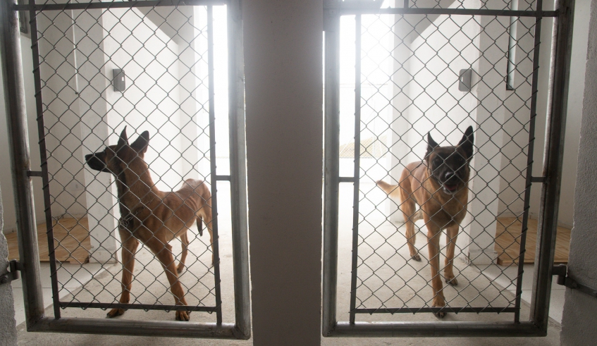 Canil da Guarda Civil Municipal foi construído em Cezar de Souza e tem toda a estrutura para abrigar os cães da corporação, além de espaço para treinamento (Warley Kenji/PMMC)