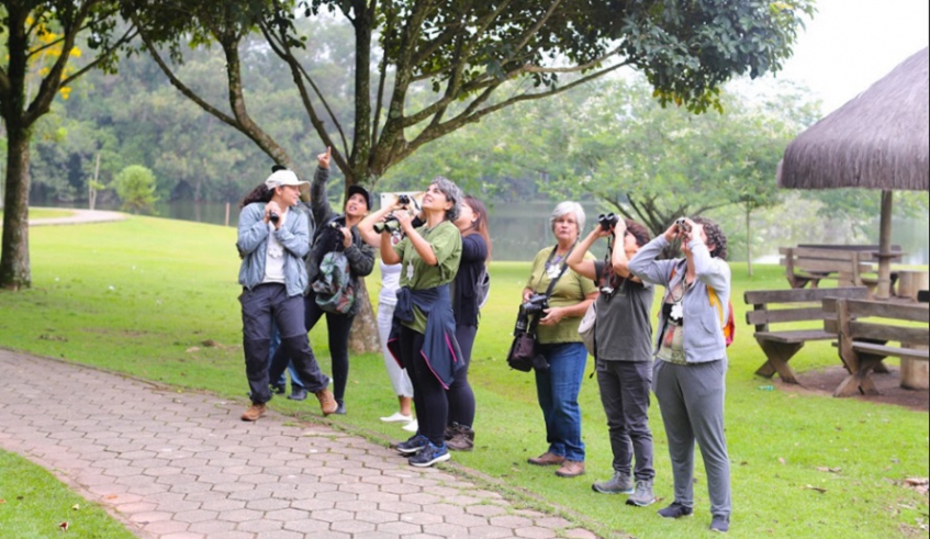 iniciativa promove opções de observação de pássaros a pessoas que se interessam pela fauna local e valoriza espaços naturais do município (Warley Kenji/PMMC)