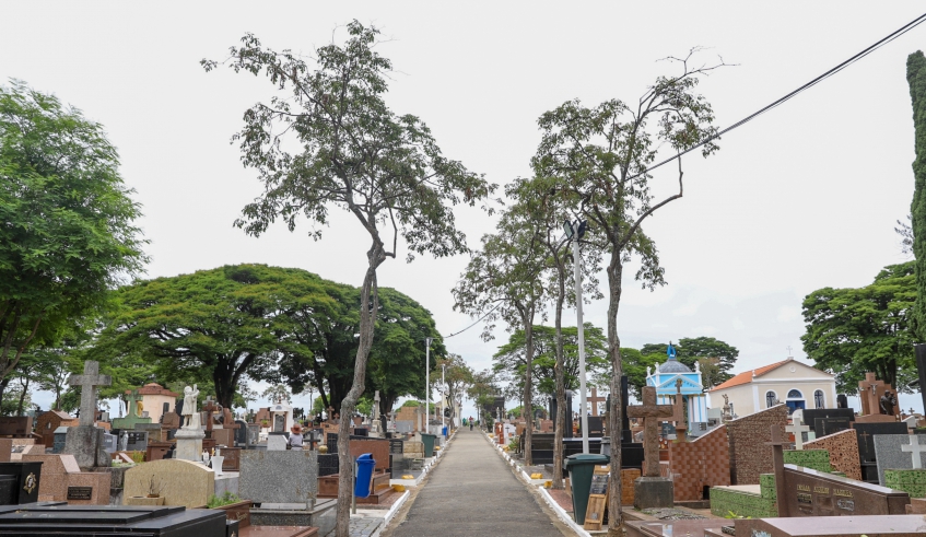Serviços essenciais funcionam normalmente neste sábado (2), Dia de Finados (Divulgação/PMMC)