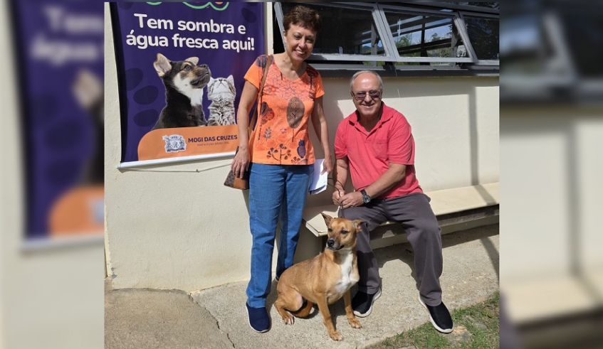 Já recuperada, a cadela Caramela foi adotada e agora vive em um lar onde recebe carinho e atenção de seus tutores (Divulgação/PMMC)