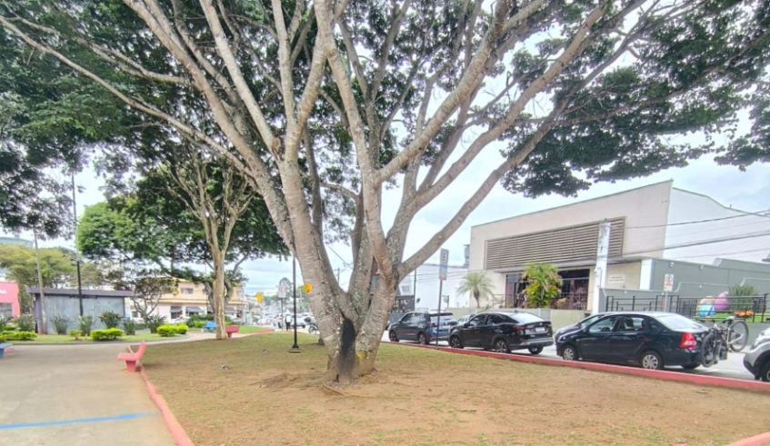 Praça Norival Tavares, no Parque Monte Líbano, é um dos espaços públicos disponíveis para doação por meio do programa Adote Uma Praça (Divulgação/ PMMC)