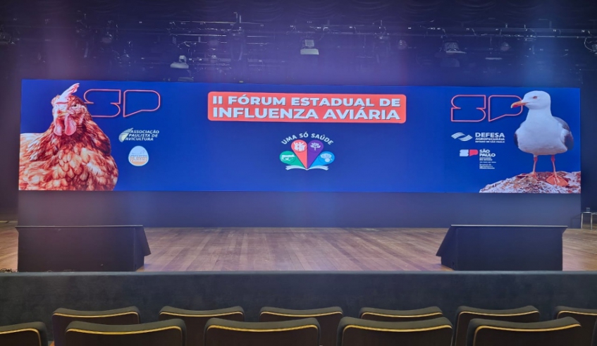 gripe interna.jpg