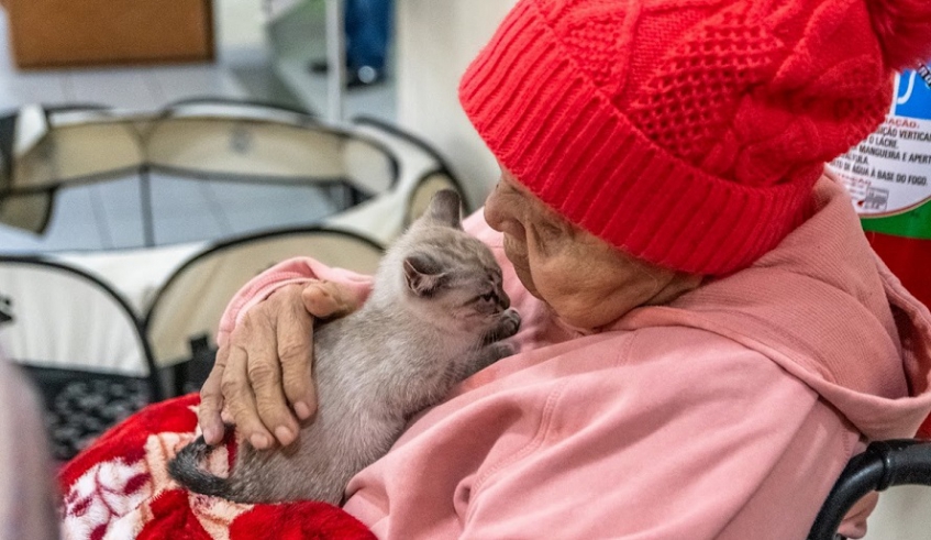 O simples ato de acariciar um cachorro ou um gato pode reduzir o estresse, aliviar a solidão e até diminuir a pressão arterial (Divulgação/PMMC)