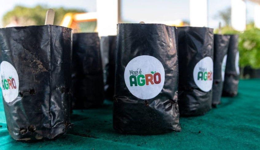 A distribuição de mais de 200 mudas de alface, realizada pela Secretaria de Agricultura, atraiu grande público durante o evento Rua + Feliz, no Parque Centenário