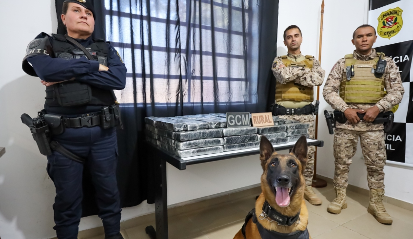 Entorpecente foi encontrado em área de mata no Conjunto Toyama, em ação da Patrulha Rural da Guarda Civil Municipal, com o apoio do Canil da corporação (Divulgação/PMMC)