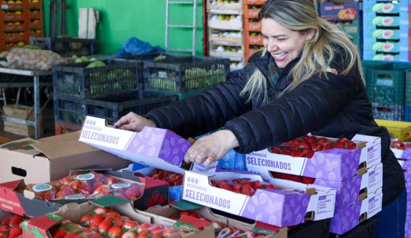 Mas últimas três semanas, a procura pela fruta aumentou consideravelmente no Mercado do Produtor “Minor Harada” e nas Feiras Noturnas do Alto Ipiranga e Brás Cubas