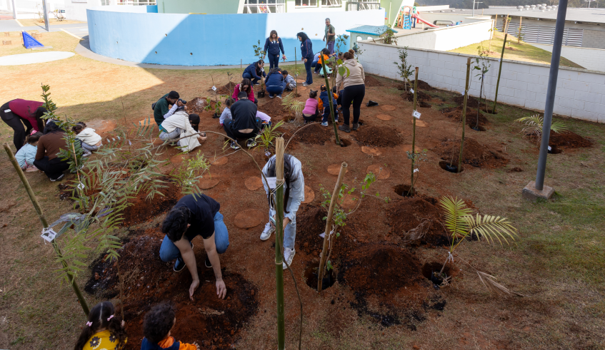 Nesta sexta-feira, crianças plantaram mudas em berços abertos no dia anterior, por técnicos da Secretaria de Meio Ambiente (Divulgação/PMMC)