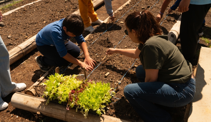 Plantio no Centro Municipal de Paradesporto é uma parceria entre as Secretarias de Esporte e Lazer e de Agricultura e Segurança Alimentar (Divulgação/PMMC)