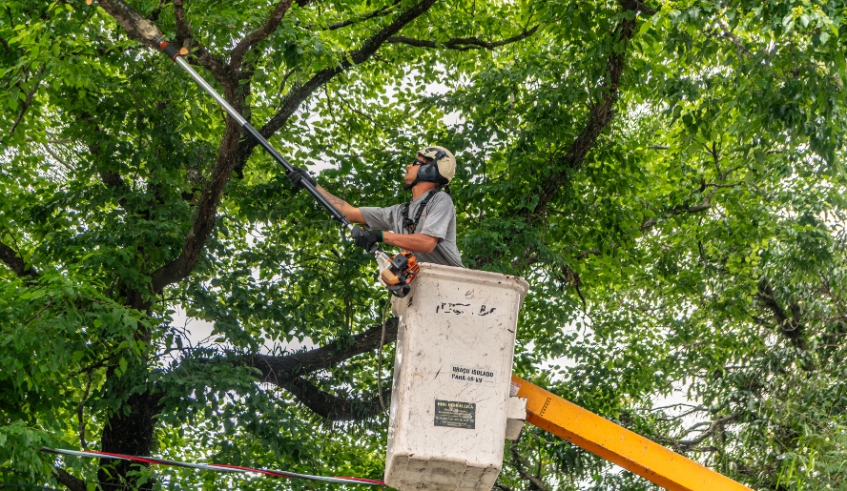 Mega mutirão de zeladoria e serviços públicos faz parte das comemorações do aniversário de 87 anos de Jundiapeba e vai se estender até o dia 30 (Divulgação/ PMMC)
