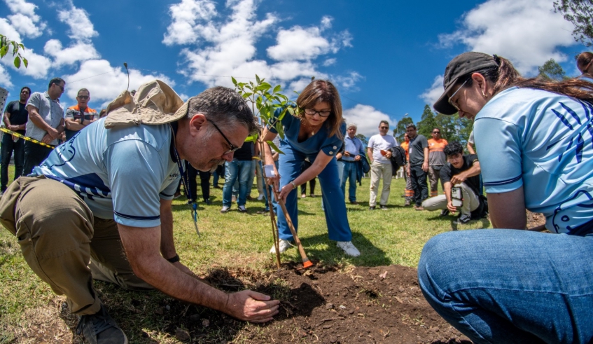 Prefeita Mara Bertaiolli participa do plantio de mudas, ao lado da secretária Patricia Cesare e do diretor de Sustentabilidade, Ricardo Moscatelli (Divulgação/PMMC)