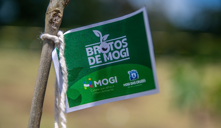 Programa Brotos de Mogi estimula o plantio de mudas em espaços públicos, como praças, contribuindo para o aumento da cobertura verde (Divulgação/PMMC)