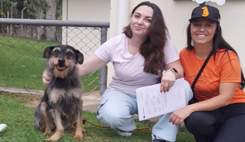 Camila Cristina adotou o cãozinho Mogiano na primeira semana de dezembro e vai proporcionar um lar com conforto e carinho ao pet (Divulgação/PMMC)