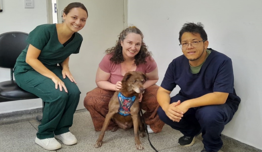 Milena Tomasi adotou o cachorro macho Stuart, já idoso, que ficou acolhido no NUBEA por 6 anos. Em seu novo lar, Stuart terá dois amigos caninos (Divulgação/PMMC)