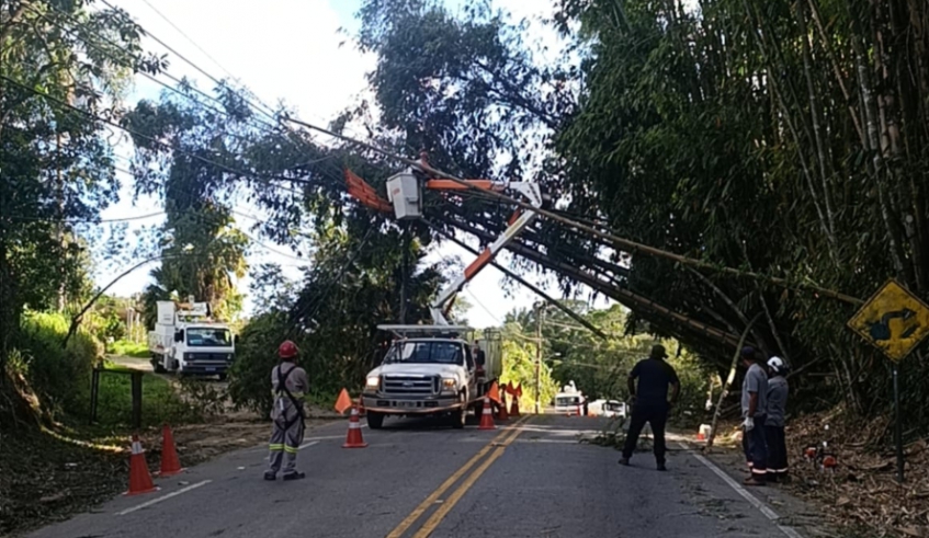 Os serviços foram realizados em diversos bairros e distritos da cidade, pelas equipes que já estão de sobreaviso, dentro da estrutura da Operação Verão (Divulgação/ PMMC)