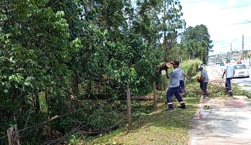 Os serviços foram realizados em diversos bairros e distritos da cidade, pelas equipes que já estão de sobreaviso, dentro da estrutura da Operação Verão (Divulgação/ PMMC)