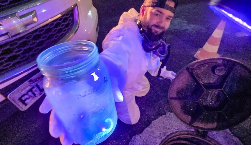 Centro de Controle de Zoonoses intensifica ações de controle de escorpiões (Divulgação - PMMC)