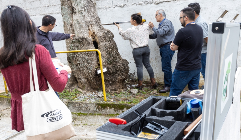 Equipamento é utilizado na análise das condições fitossanitárias das árvores: treinamento foi realizado no Cemitério São Salvador (Divulgação/PMMC)