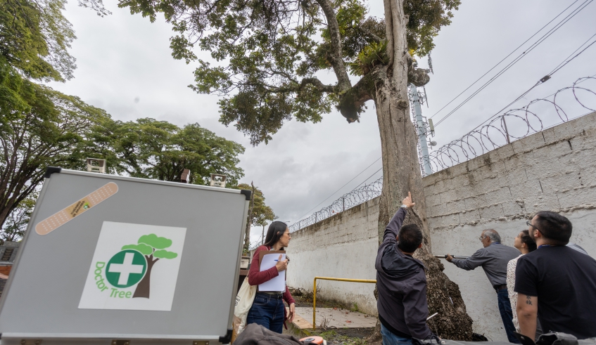 Uso do penetrógrafo passa a ser mais um instrumento de apoio nas análises realizadas pela Prefeitura sobre o estado fitossanitário das árvores (Divulgação/PMMC)