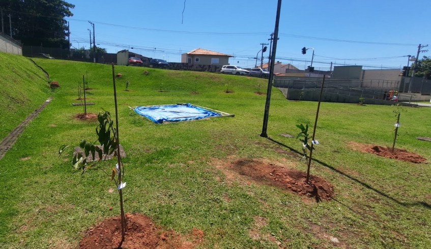 O foco do Programa Brotos de Mogi são os espaços públicos existentes no município, como unidades de ensino e praças, entre outros (Divulgação/PMMC)