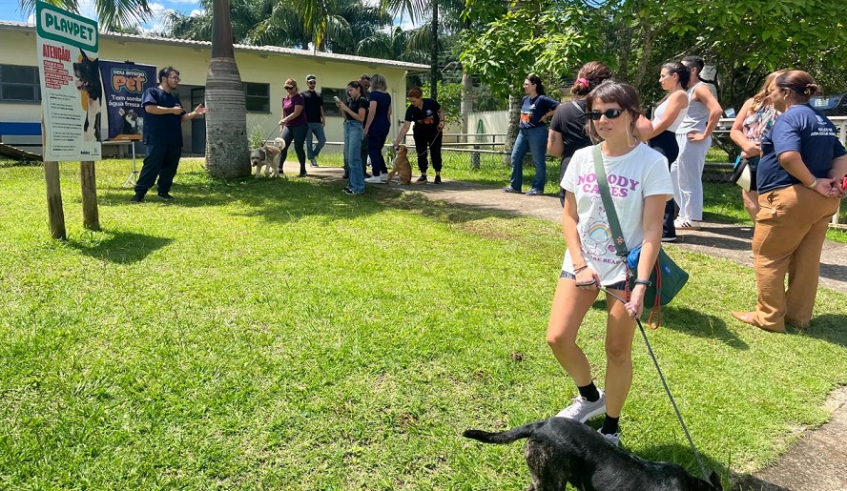 O Passeio do Bem é uma nova opção de passeio terapêutico, que proporciona aos animais momentos de liberdade, estímulo físico e mental (Divulgação/PMMC)