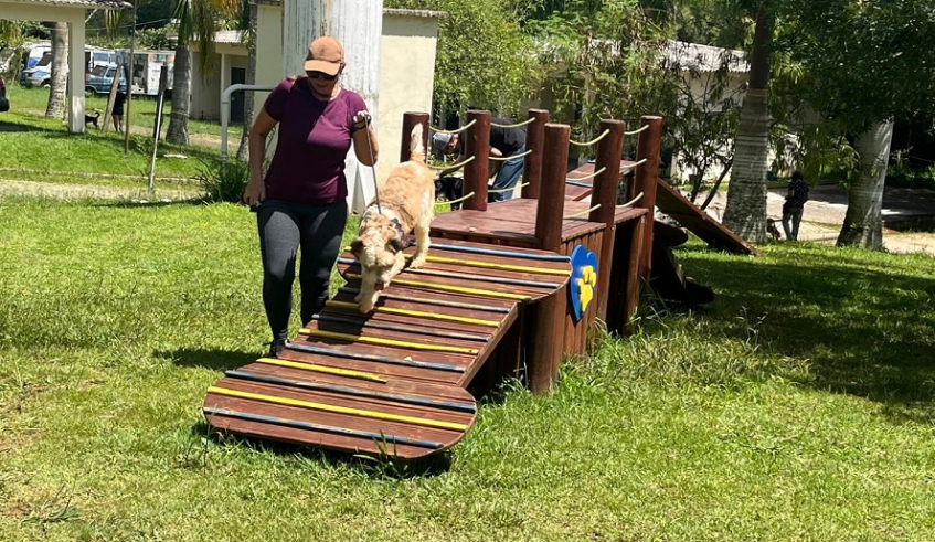 Voluntários que compareceram ao Nubea nesta sexta-feira passearam com os animais abrigados e aproveitaram toda a estrutura existente no núcleo (Divulgação/PMMC)