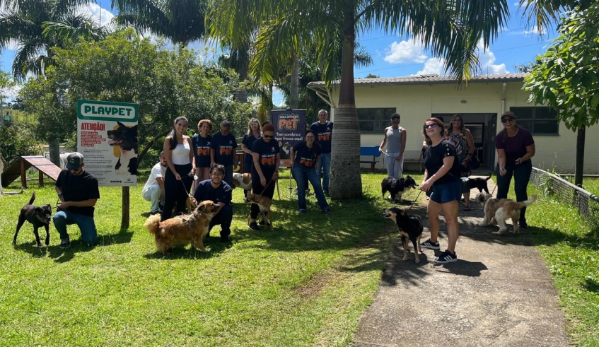 Vários voluntários compareceram ao Nubea nesta sexta e passearam com os cães, que também receberam sessões de ozonioterapia e adestramento (Divulgação/PMMC)