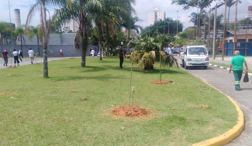 Em 2026, a secretaria mapeou espaços públicos que podem receber mudas e está organizando uma sequência de plantios de grande porte (Divulgação/PMMC)