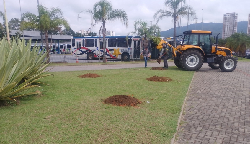Todas as mudas utilizadas são oriundas do Viveiro Municipal que, atualmente, conta com cerca de 5 mil mudas de espécies arbóreas nativas (Divulgação/PMMC)