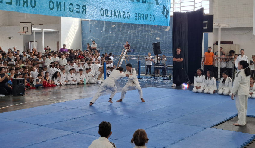 O festival contou com demonstrações de judô, capoeira e taekwondo. (Divulgação/PMMC)