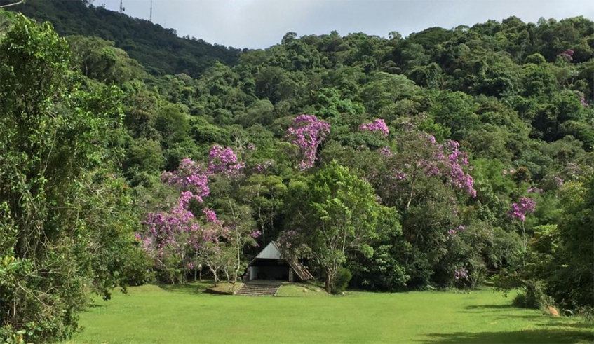 Parque Municipal Chiquinho Veríssimo é um dos patrimônio naturais de Mogi das Cruzes e receberá eventos da programação do Junho Eco-Sustentável (Divulgação/PMMC)