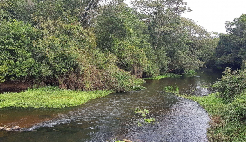 Atividade abordará ações educacionais para preservação do rio Tietê, com palestra e roda de conversa (Foto: Julio Nogueira/Semae)