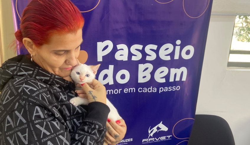 Gatos também foram adotados pelos mogianos que foram ao Nubea: pets recebem todos os cuidados veterinários antes de seguirem para novas famílias (Divulgação/PMMC)