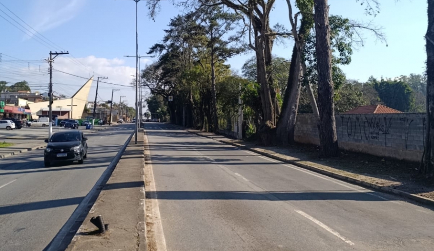Equipes da Secretaria de Serviços Urbanos também fizeram poda da vegetação em terrenos às margens da avenida Francisco Rodrigues Filho (Divulgação/ PMMC)