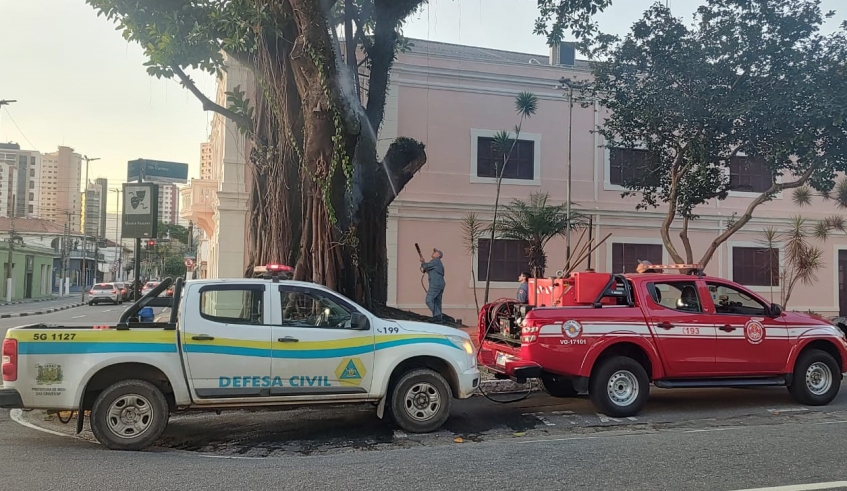 Novos princípios de incêndio foram registrados na terça-feira (07/07) e nesta quarta-feira (08/07), exigindo novas intervenções do Corpo de Bombeiros (Divulgação/PMMC)