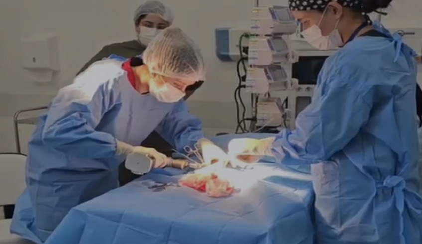 Cirurgia é indicada para casos de luxação da articulação sacroilíaca, região responsável pela conexão entre a coluna e a pelve (Divulgação/PMMC)