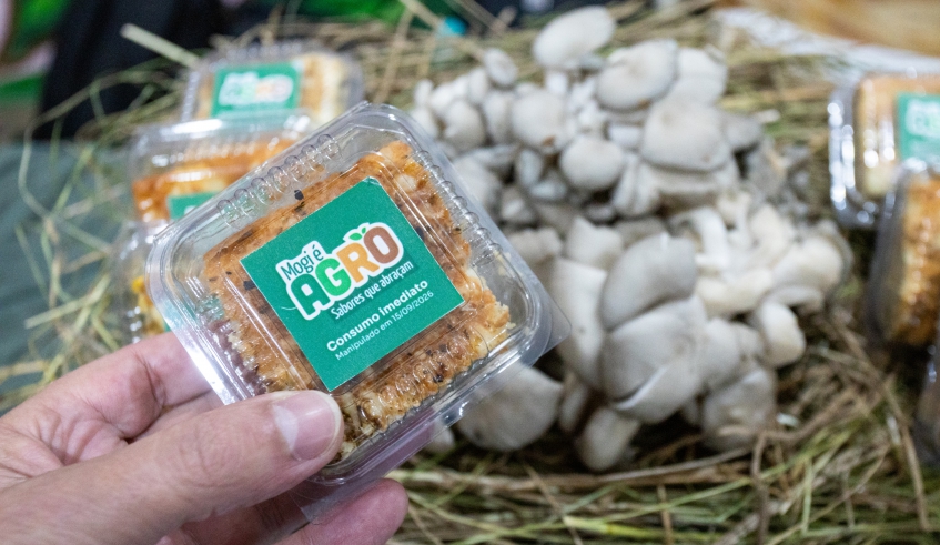 A iniciativa de destaque ao shimeji, uma das variedades de cogumelos produzidas no município (Divulgação/PMMC)