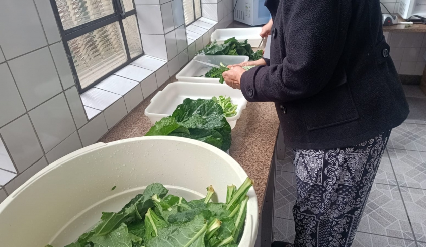 Ação realizada no Departamento de Alimentação Escolar compara tempo de preparo e aproveitamento entre alimentos in natura e frescos e higienizados (Divulgação/PMMC)