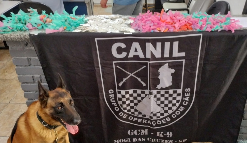 Apreensão de 946 porções de entorpecentes, nesta quarta-feira (07/10), na Vila Estação, teve a participação do cão Raio, do Canil da Guarda Civil Municipal (Divulgação/PMMC)