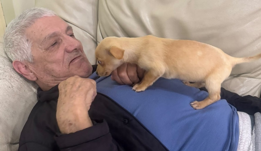 A presença dos animais promove momentos de alegria, desperta memórias afetivas e estimula a interação social entre os idosos residentes (Divulgação/PMMC)
