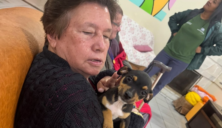 O simples ato de acariciar um cachorro ou um gato pode reduzir o estresse, aliviar a solidão e até diminuir a pressão arterial (Divulgação/PMMC)