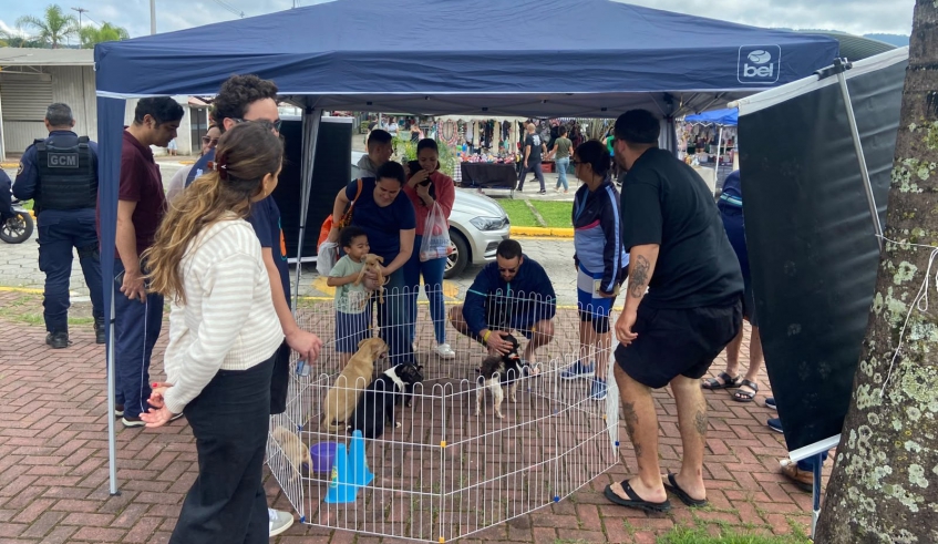Feira de Adoção realizado no último domingo (11/10), garantiu a adoção consciente de sete cães, no Mercado do Produtor (Divulgação/PMMC)