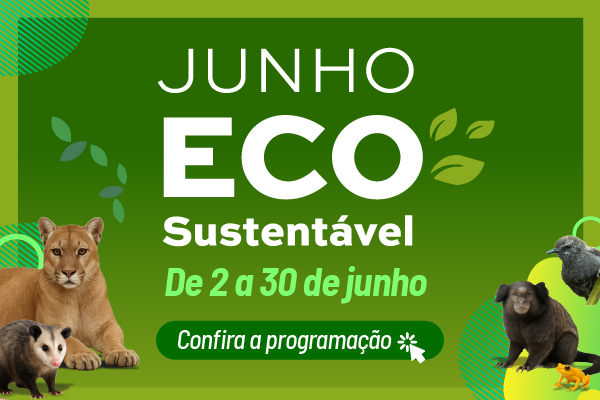 Junho Eco Sustent&aacute;vel 2026